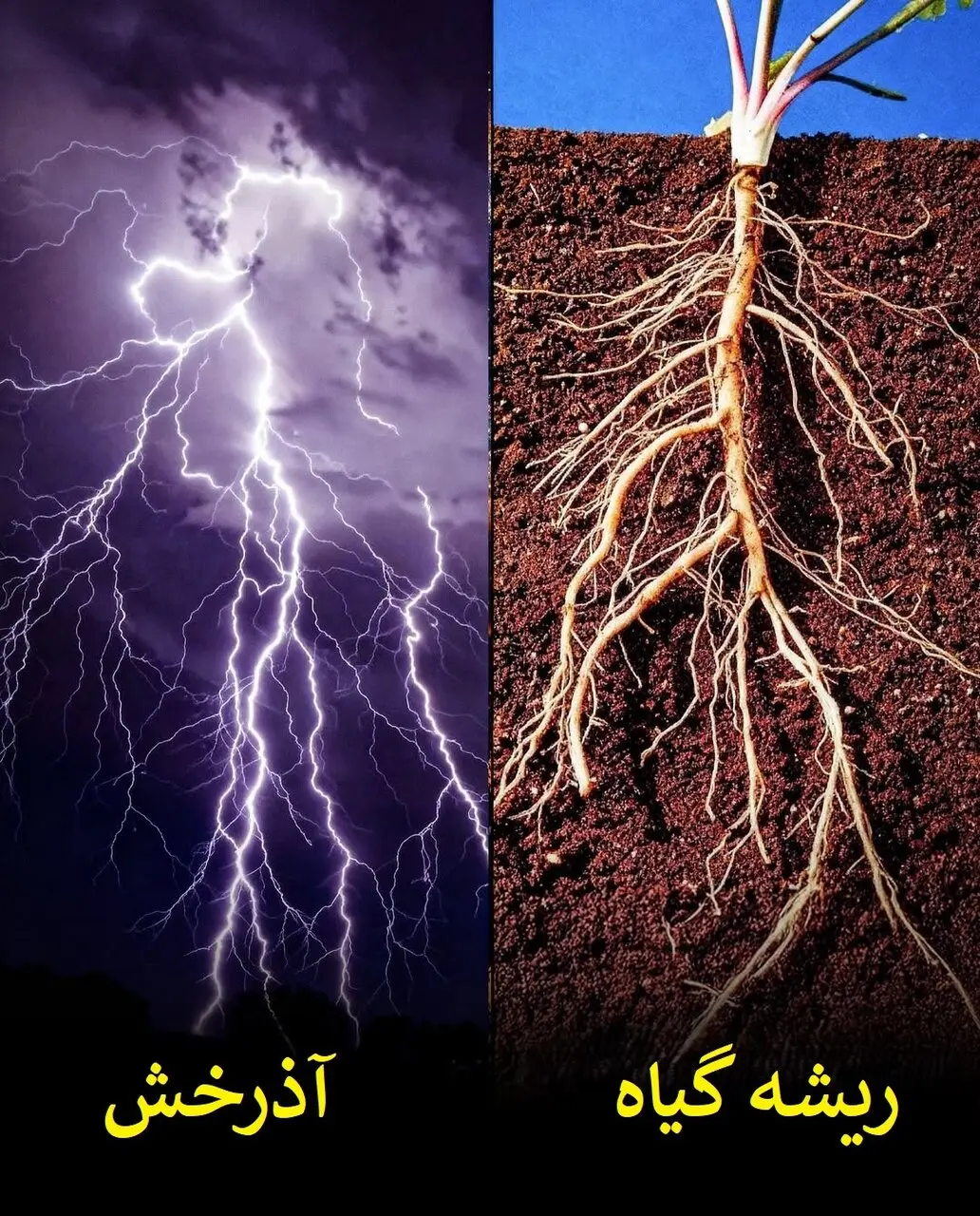 طبیعت