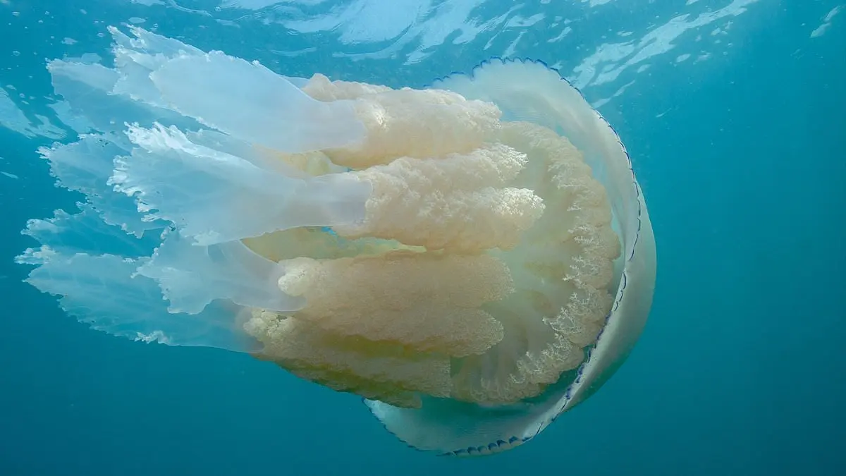 photo_2025-11-04_12-15-05