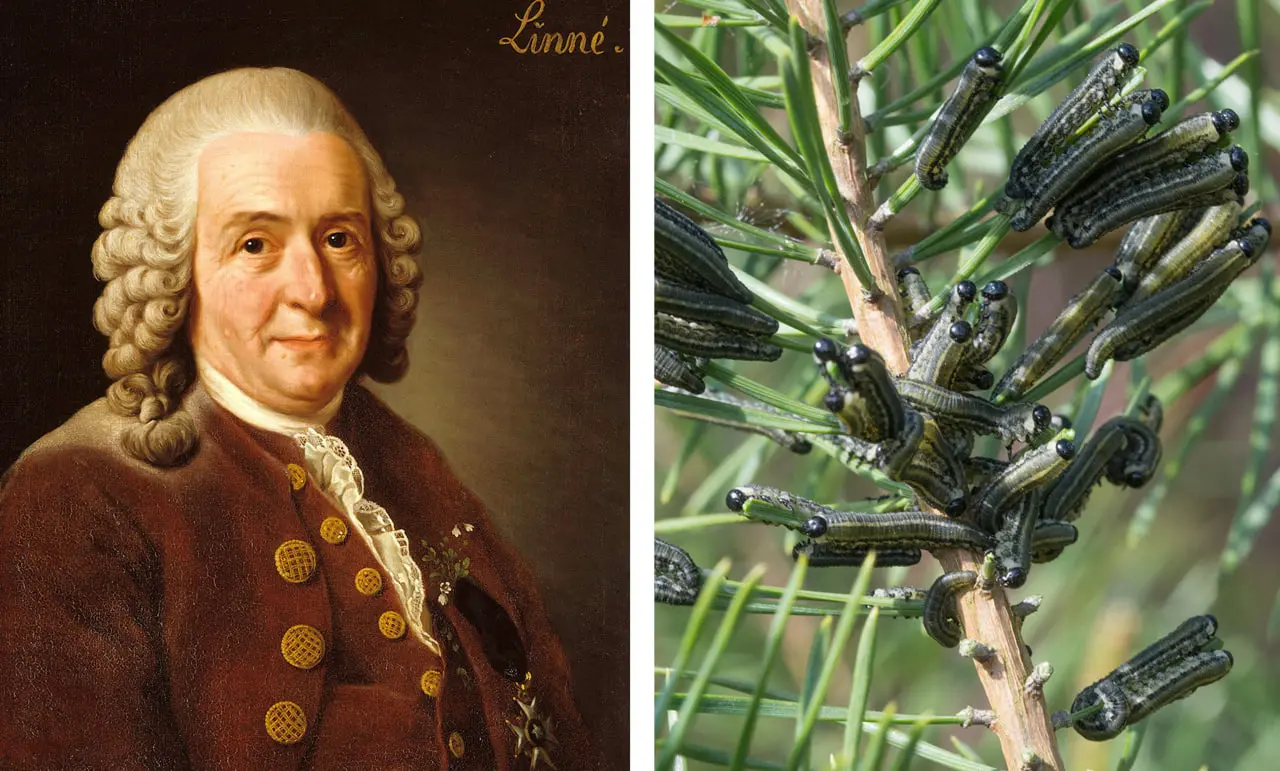 photo_2025-11-09_09-20-07