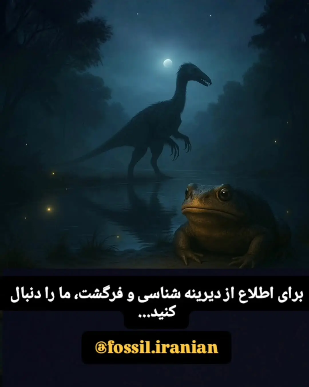 جانوران با طول عمر زیاد