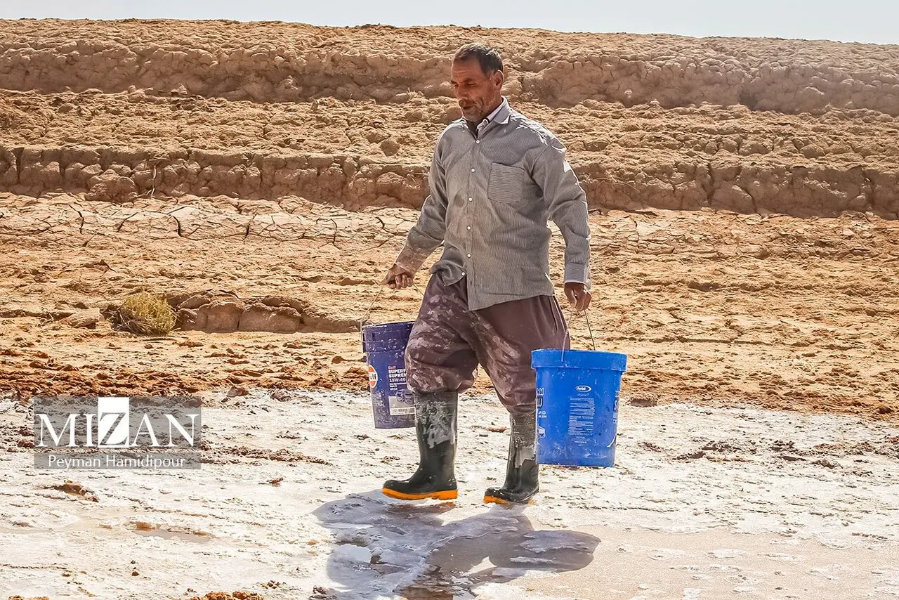 کال‌شور