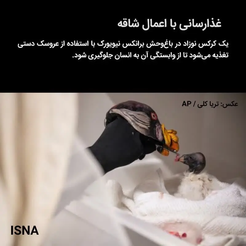 627d36f5-49e1-4827-816d-0e253a22c03f