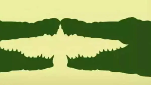 optical_latest__1751460257600_1751460271820