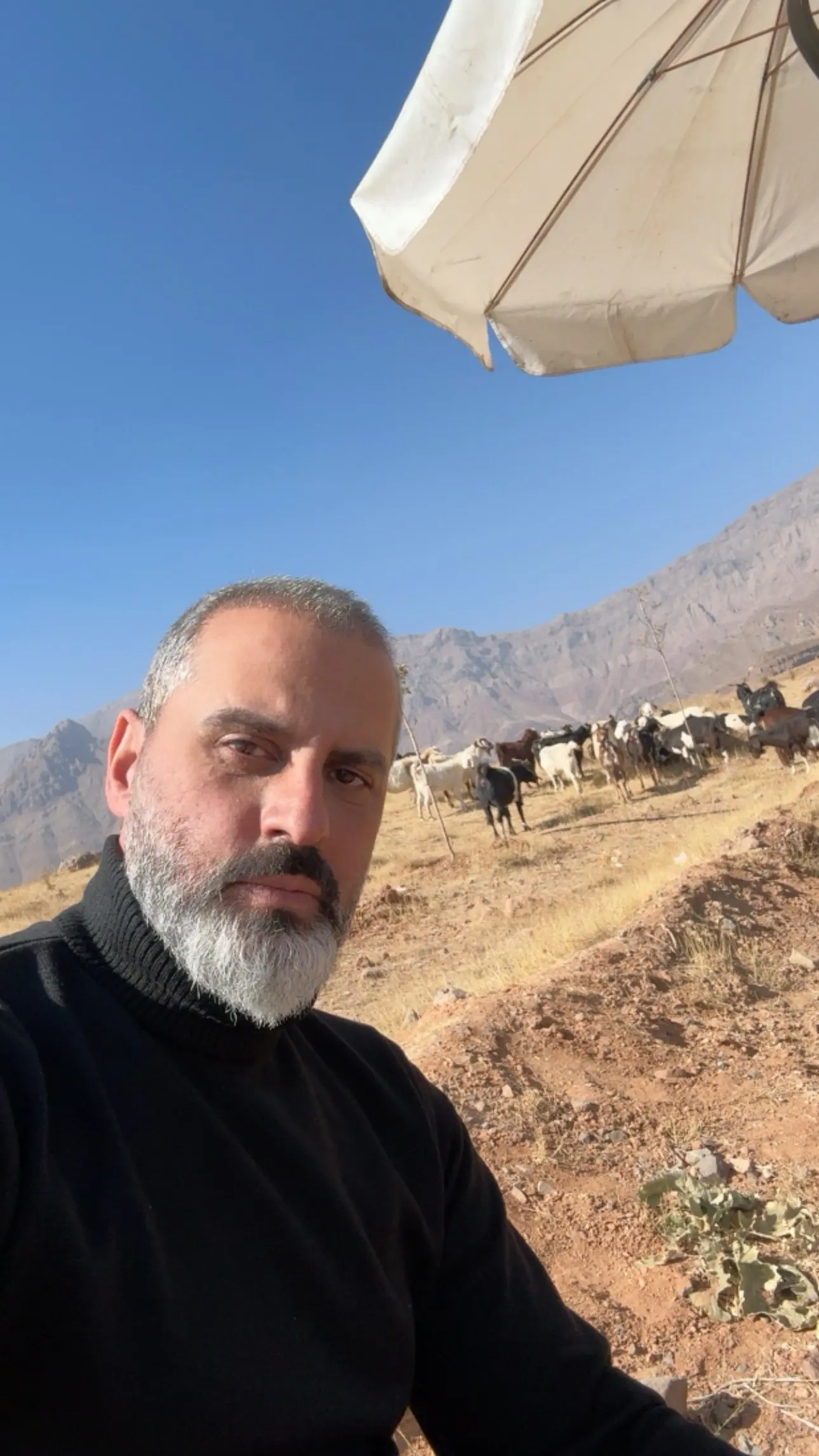 photo_2025-11-08_12-31-36