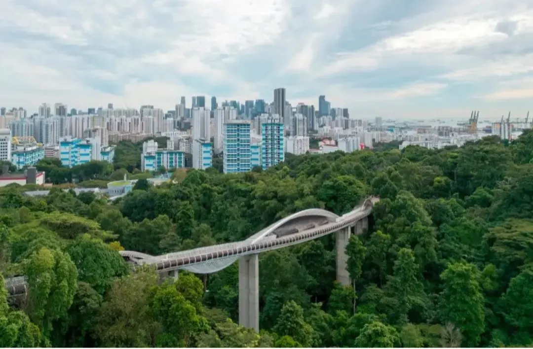 260124-133409_Gallery