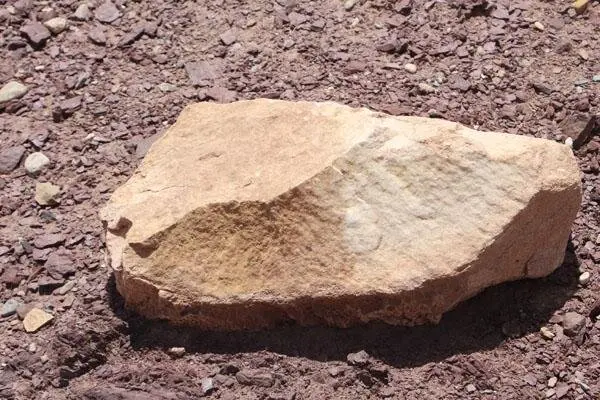 63995660