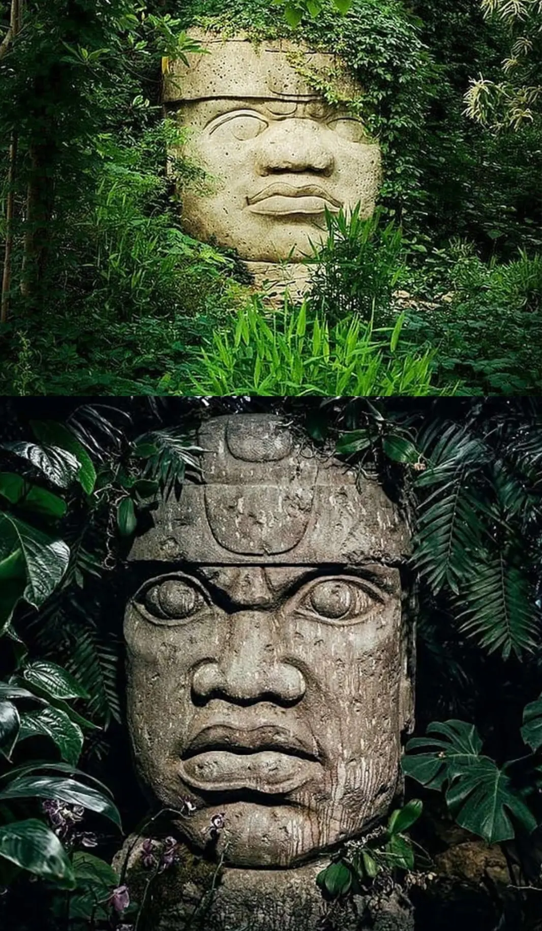 20251203-115700_Gallery