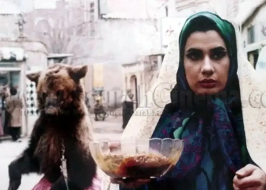 Screenshot_۲۰۲۶۰۳۱۵_۱۹۴۲۵۵_Chrome