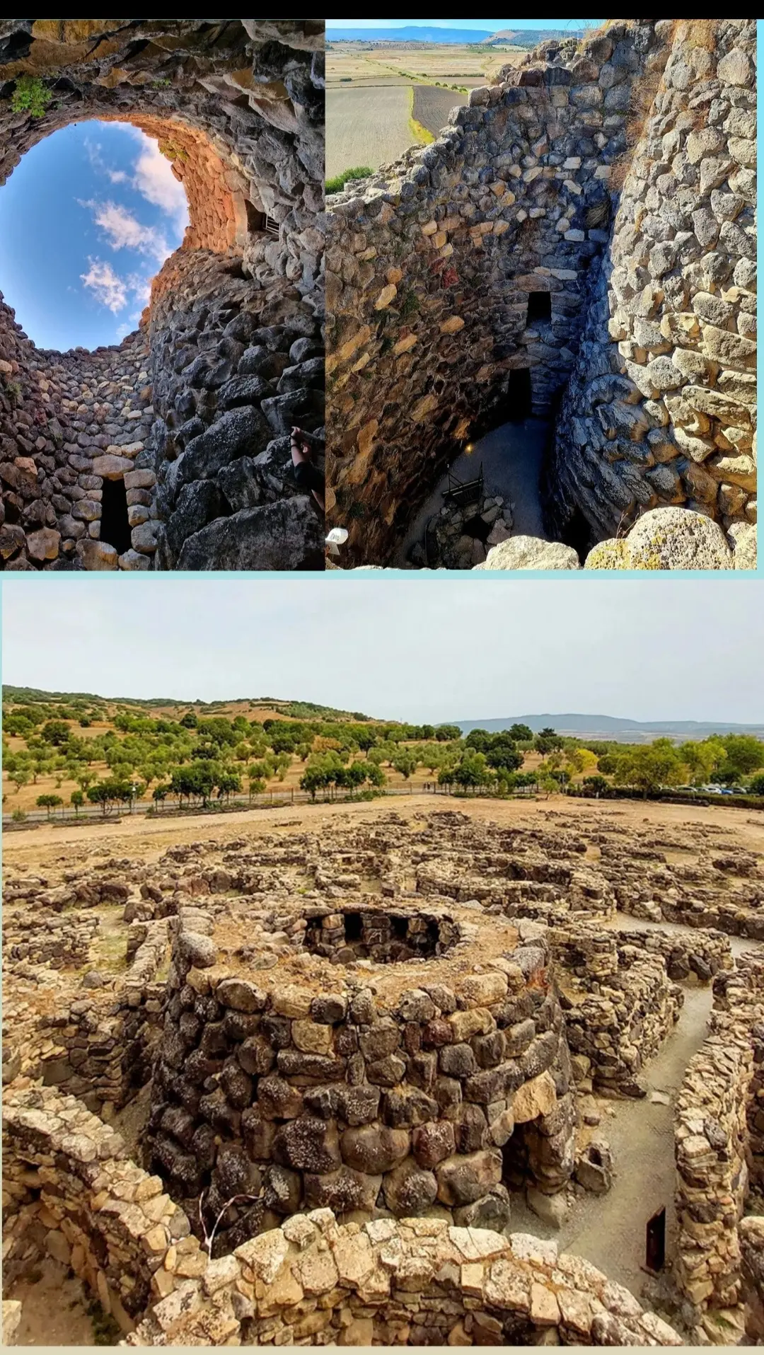 _20251206-120324_Gallery