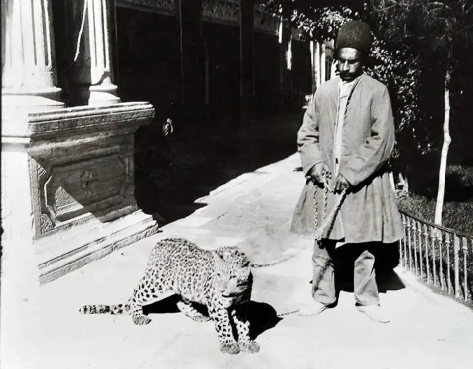 20260126-090411_Gallery