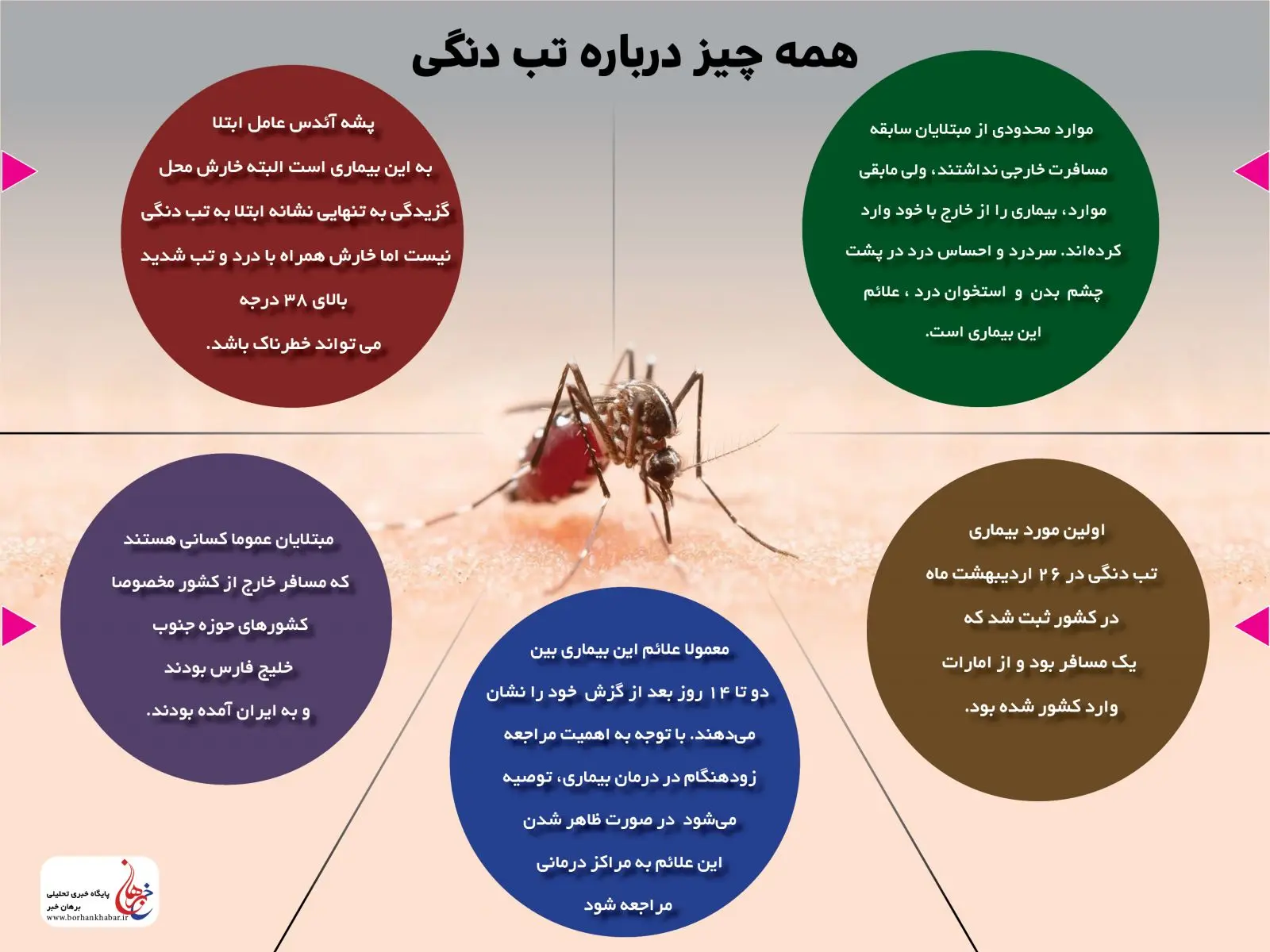 همه آنچه که درباره تب دنگی باید بدانید+ اینفوگرافیک