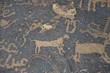 63968667