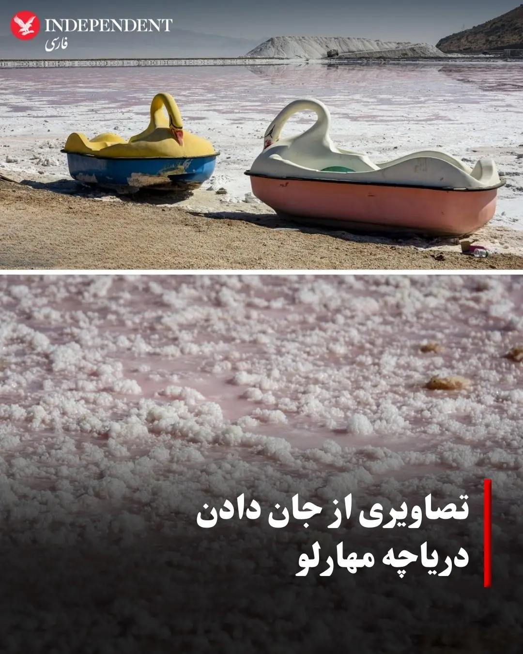 IMG_20251125_111929_113