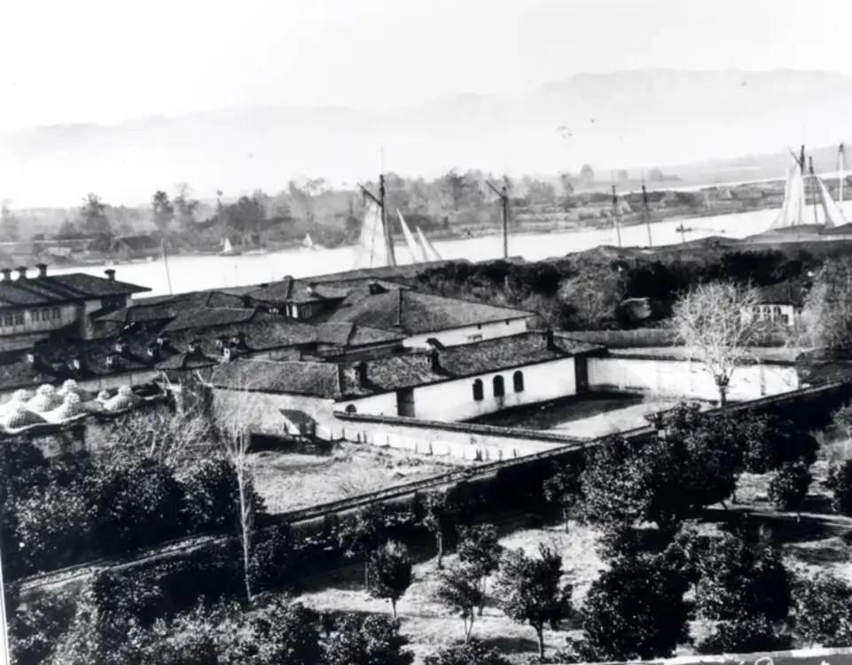 20260121-093245_Gallery