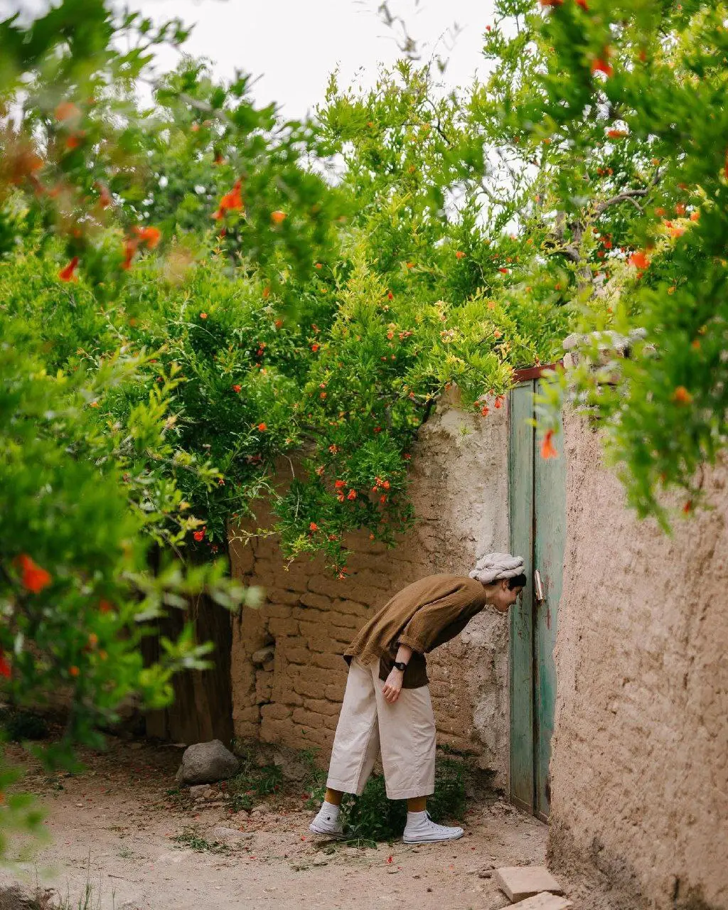 کوچه های بهاری تفت
