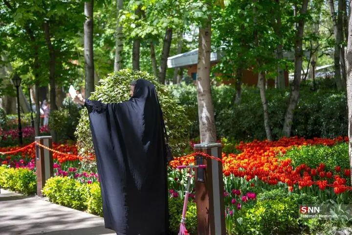 باغ ایرانی