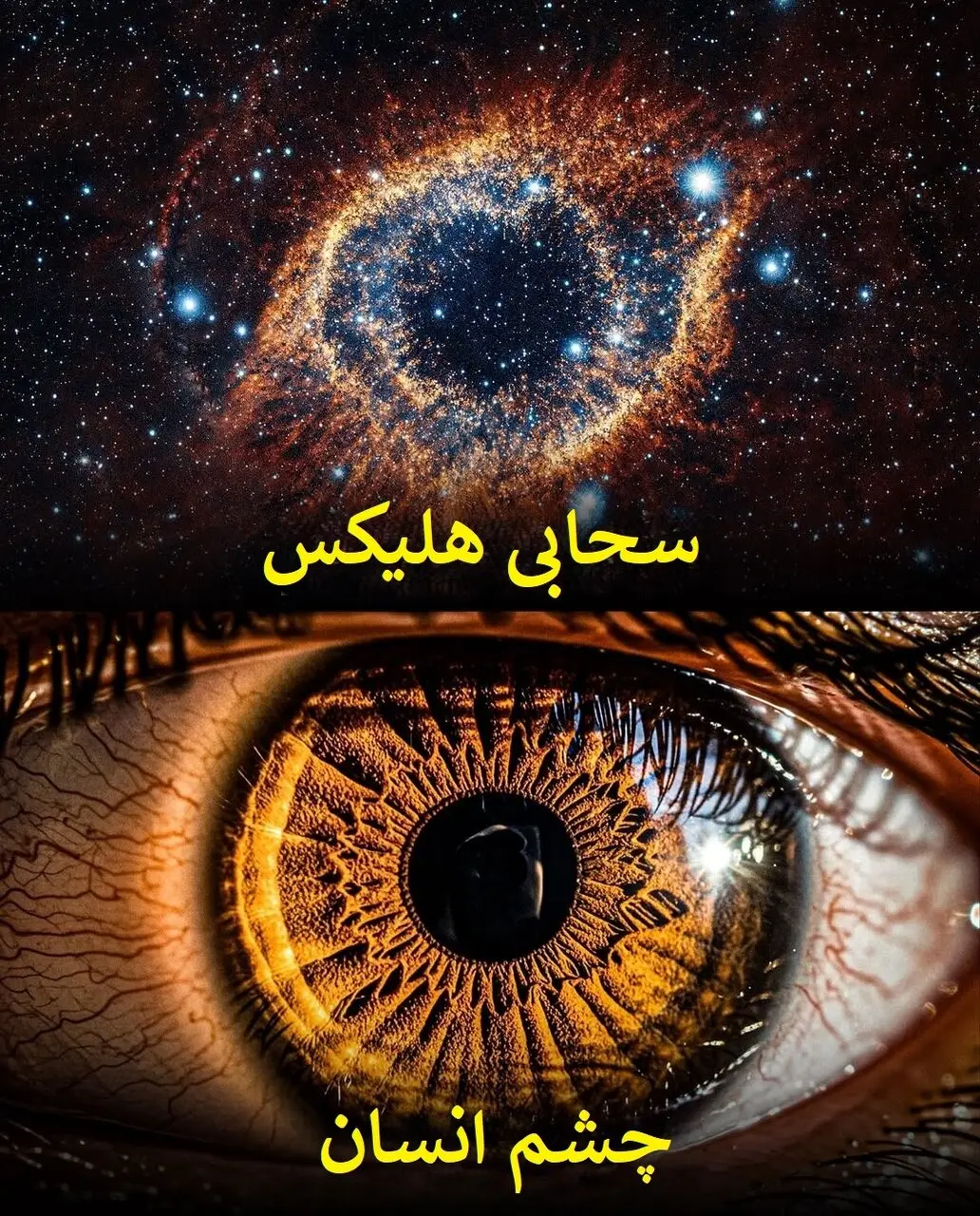 طبیعت