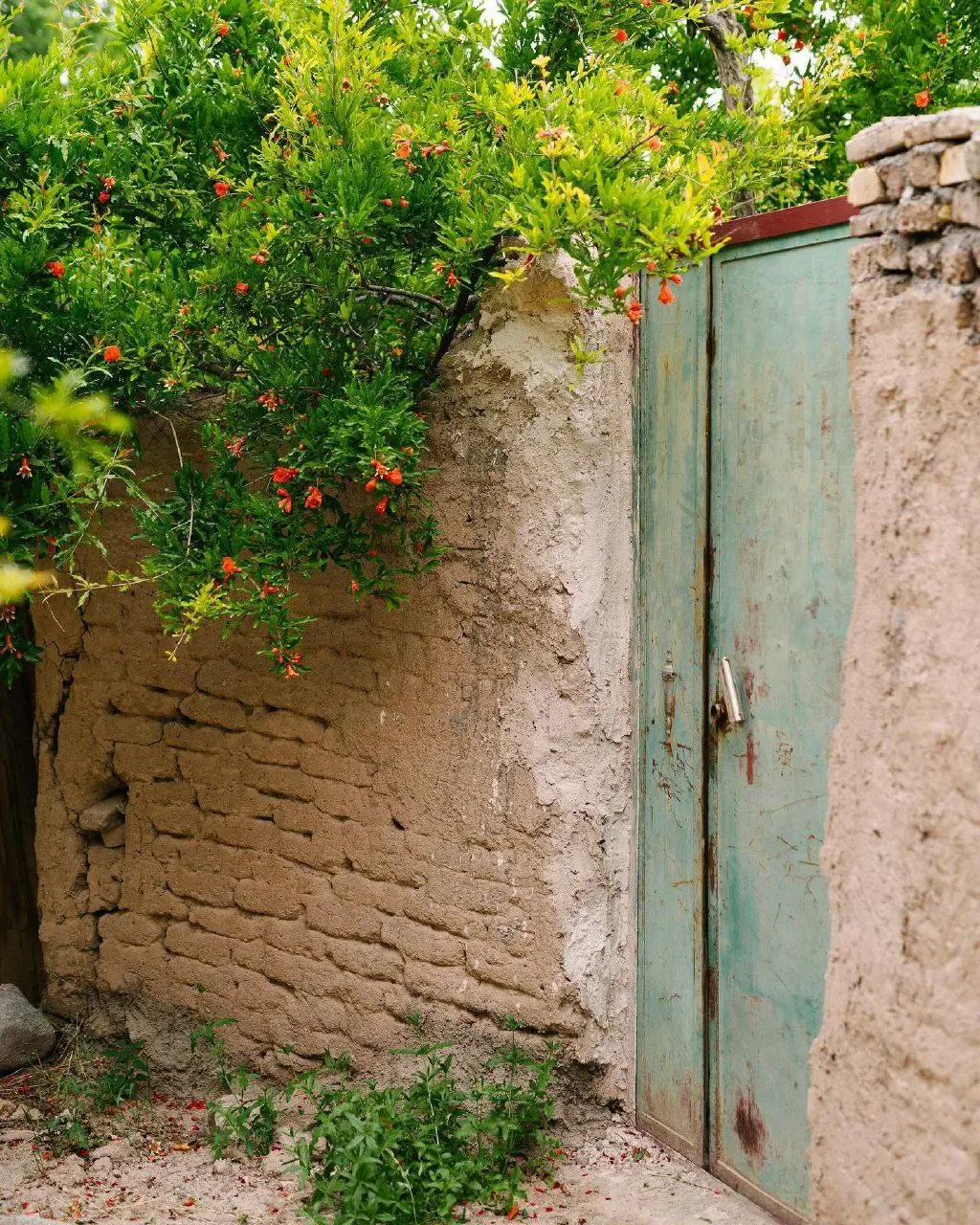 کوچه های بهاری تفت