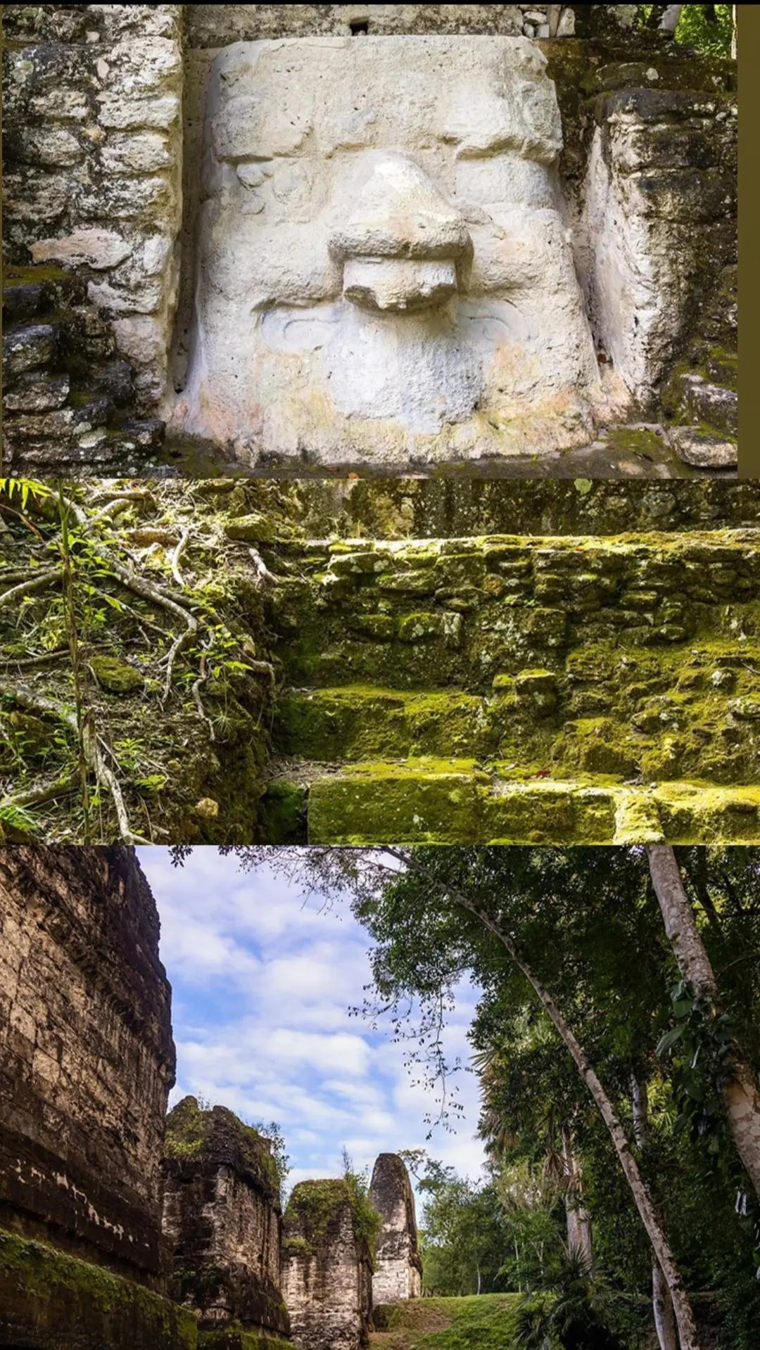 Screenshot_20251201-091330_Gallery