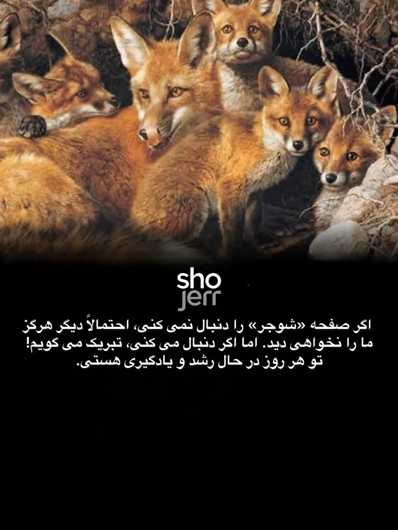 کارل برندرز