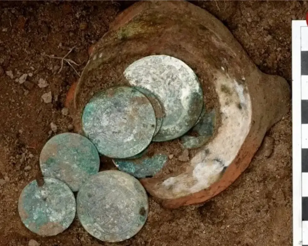 20260126-093117_Gallery