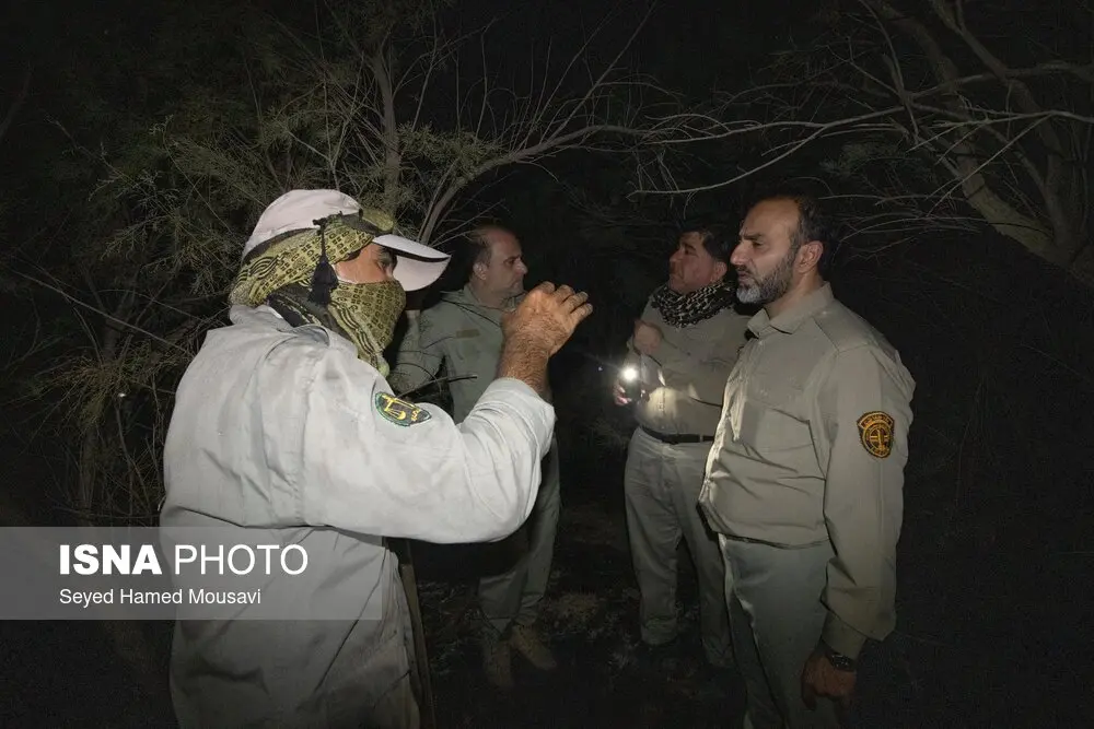 آتش سوزی پارک ملی کرخه 