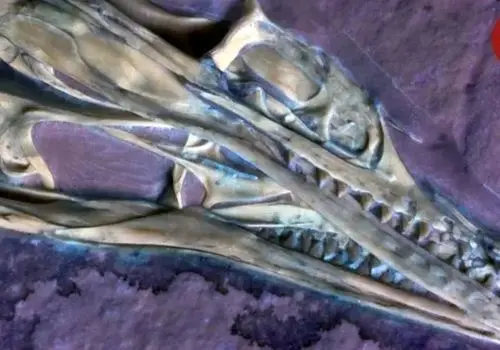 این شیء ۲۵۰۰ ساله دانشمندان را سردرگم کرده است | عکس