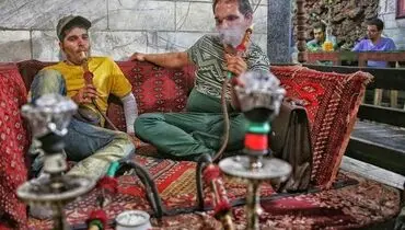 عرب‌ها فضولات حیوانی را به خورد جوانان ایرانی می‌دهند

