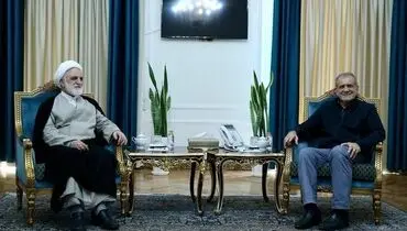 روسای قوای مجریه و قضاییه دیدار کردند