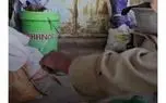 ویدیوی حیوان خانگی عجیب مادربزرگ اصفهانی پربازدید شد!