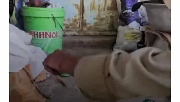 ویدیوی حیوان خانگی عجیب مادربزرگ اصفهانی پربازدید شد!