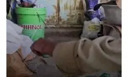 ویدیوی حیوان خانگی عجیب مادربزرگ اصفهانی پربازدید شد!