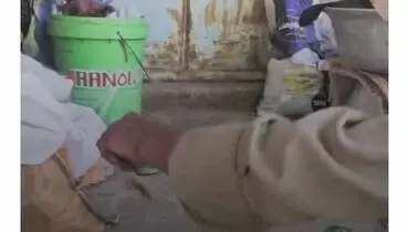 ویدیوی حیوان خانگی عجیب مادربزرگ اصفهانی پربازدید شد!