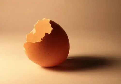 تخم‌مرغ بخور، پیر نشو! توصیه‌ای طلایی از یک جراح باتجربه