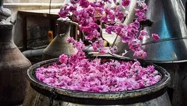 طرز استفاده گلاب برای تقویت مو