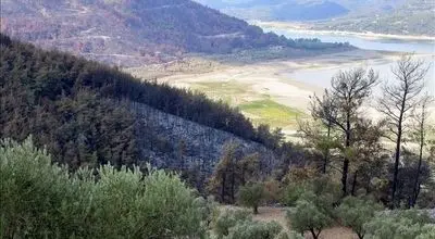 آتش‌سوزی جنگلی در سوریه