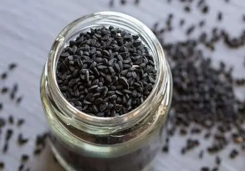 قدرت پنهان سیاه‌دانه؛ از طب سنتی تا علم مدرن