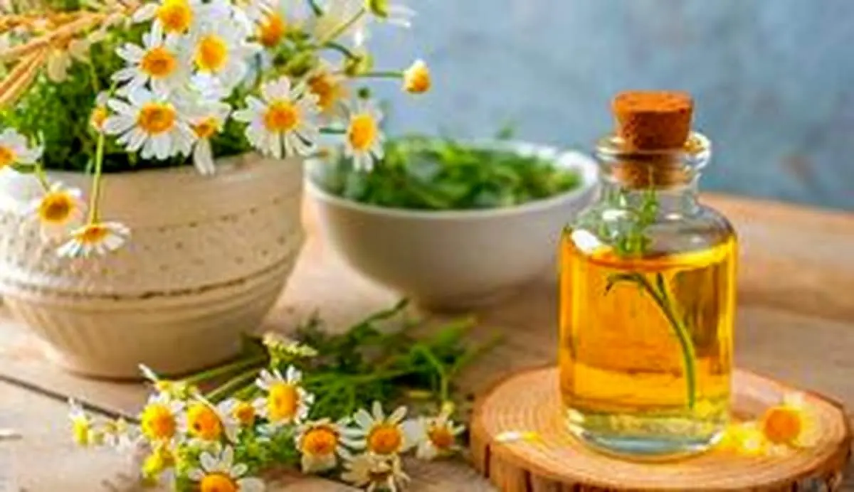 خاصیت بی نظیر گل بابونه + جزییات 