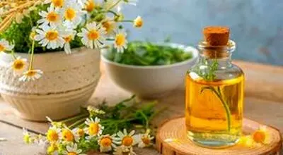 خاصیت بی نظیر گل بابونه + جزییات 