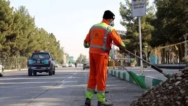 اقدام تحسین برانگیز یک پاکبان برای نجات توله‌های سگ مادر+ فیلم