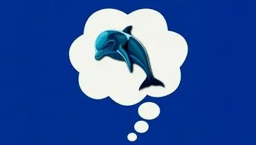 قانون دلفین آبی؛ راهی ساده برای مهار افکار منفی

