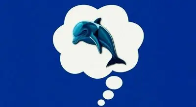 قانون دلفین آبی؛ راهی ساده برای مهار افکار منفی

