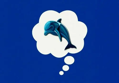 قانون دلفین آبی؛ راهی ساده برای مهار افکار منفی

