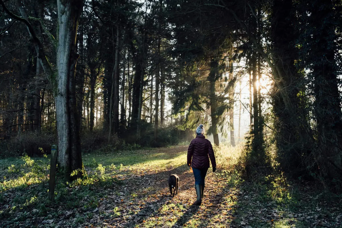 درختان هم حرف می‌زنند، هشدار می‌دهند و حتی مادر می‌شوند!