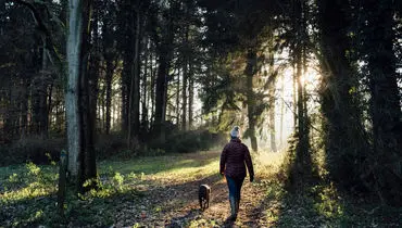 درختان هم حرف می‌زنند، هشدار می‌دهند و حتی مادر می‌شوند!