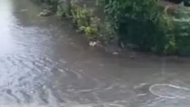 بارش باران و مه گرفتگی در محورهای شمالی