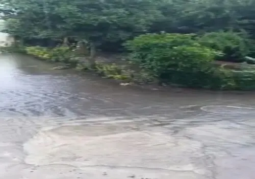 بارش باران در شرق کشور
