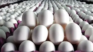 هشدار اتحادیه مرغداران درباره گران‌فروشی تخم‌مرغ در بازار