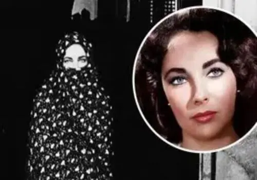 کلاغ ها در سوئد به پاک کننده های شهری تبدیل شده اند+ عکس