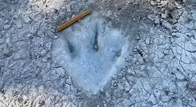 راز ۱۶ هزار ردپای دایناسور پس از ۶۶ میلیون سال + عکس